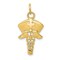 14K Yellow Gold Nurse Hat Caduceus Symbol Charm Jewelry 30mm x 15mm